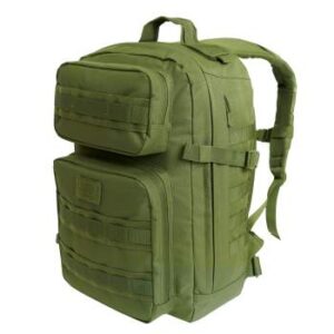 2295 olive drab a amazon.jpg