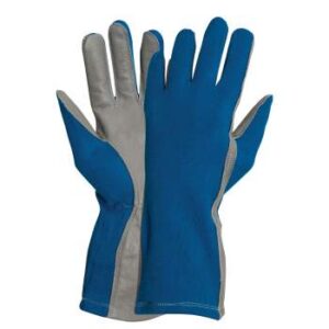 3480 a blue amazon 2.jpg